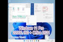 Windows 11 Pro 10.0.22000.160 + Office 2021 for VMware Workstati